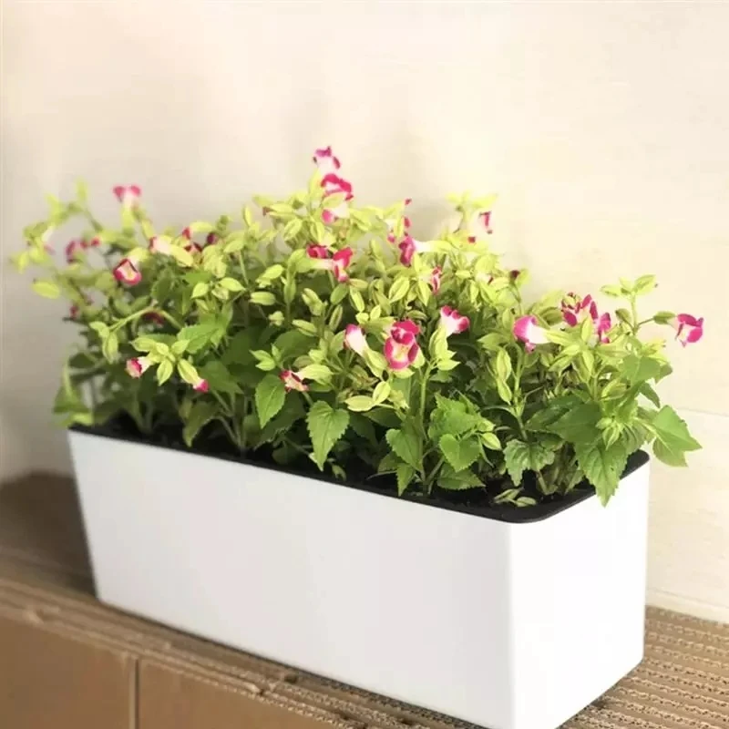 Automatic Plant Waterer - Vaso da fiori pigro rettangolare Vaso