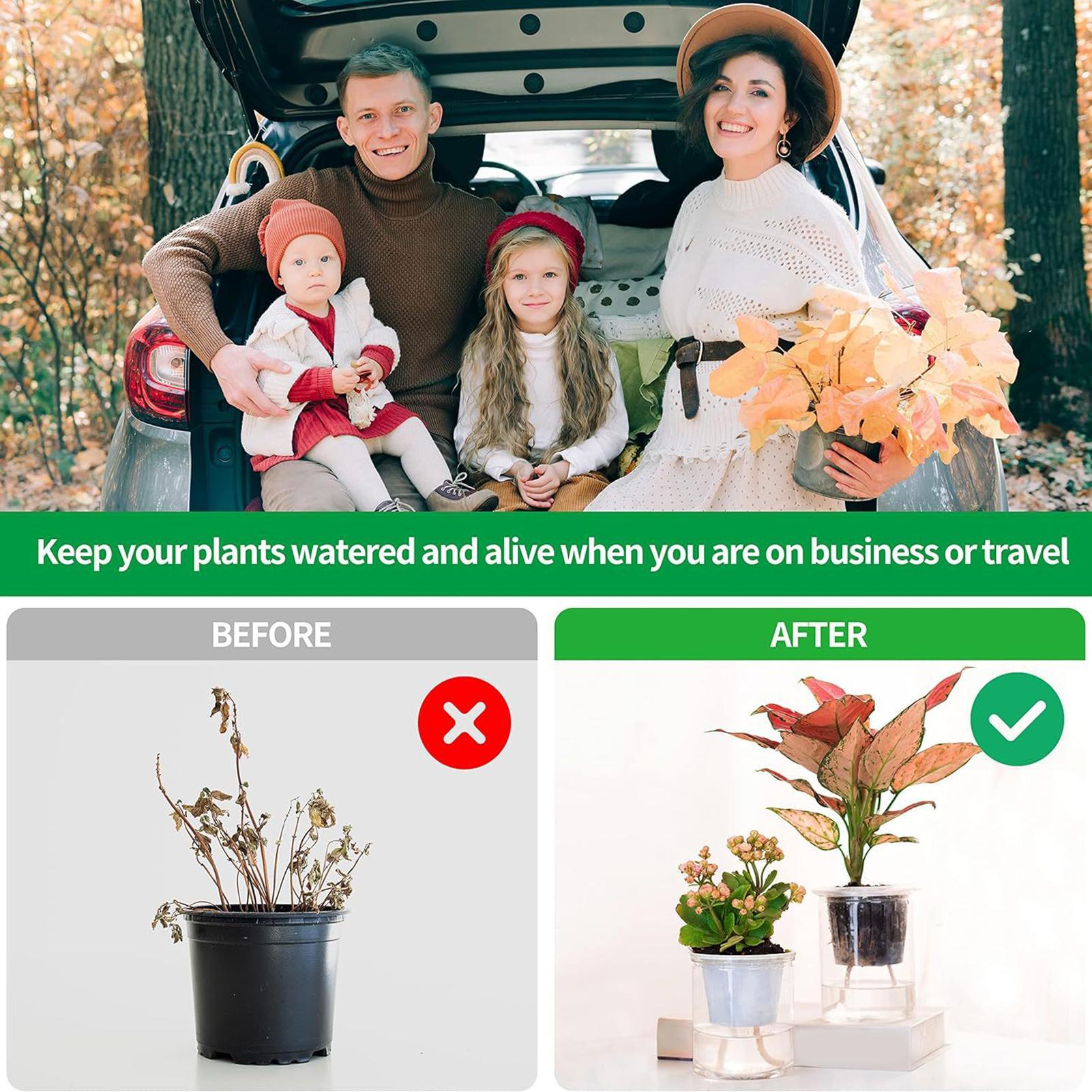 Corda per irrigazione automati - Automatic Plant Waterer recensione e prezzo
