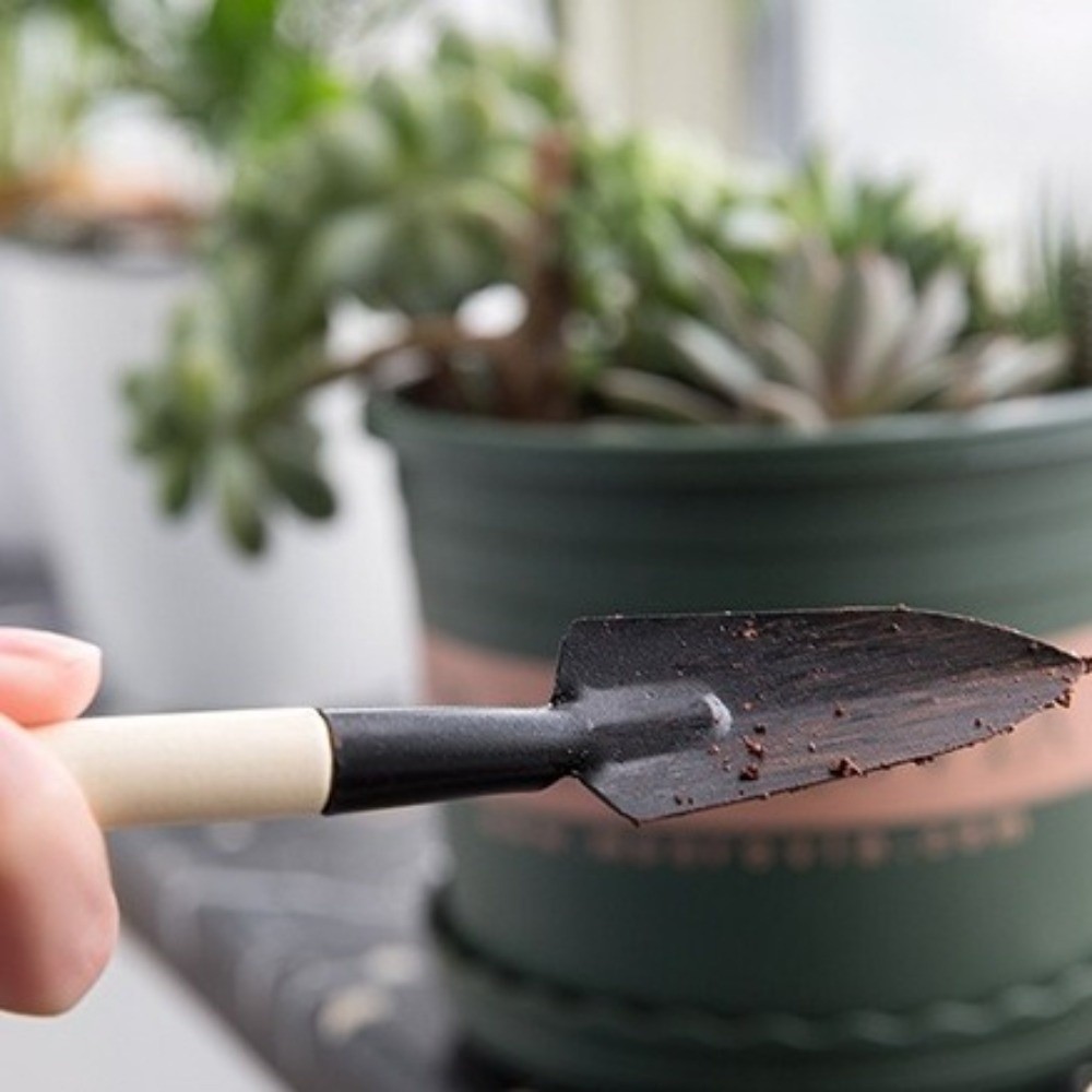 Set di Attrezzi da Giardinaggi - Spade Digging Fork recensione e prezzo