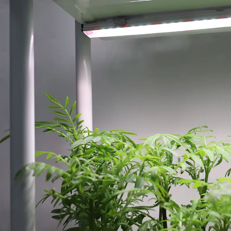 Sistema di Coltivazione Vertic - Self-Watering Planter recensione e prezzo