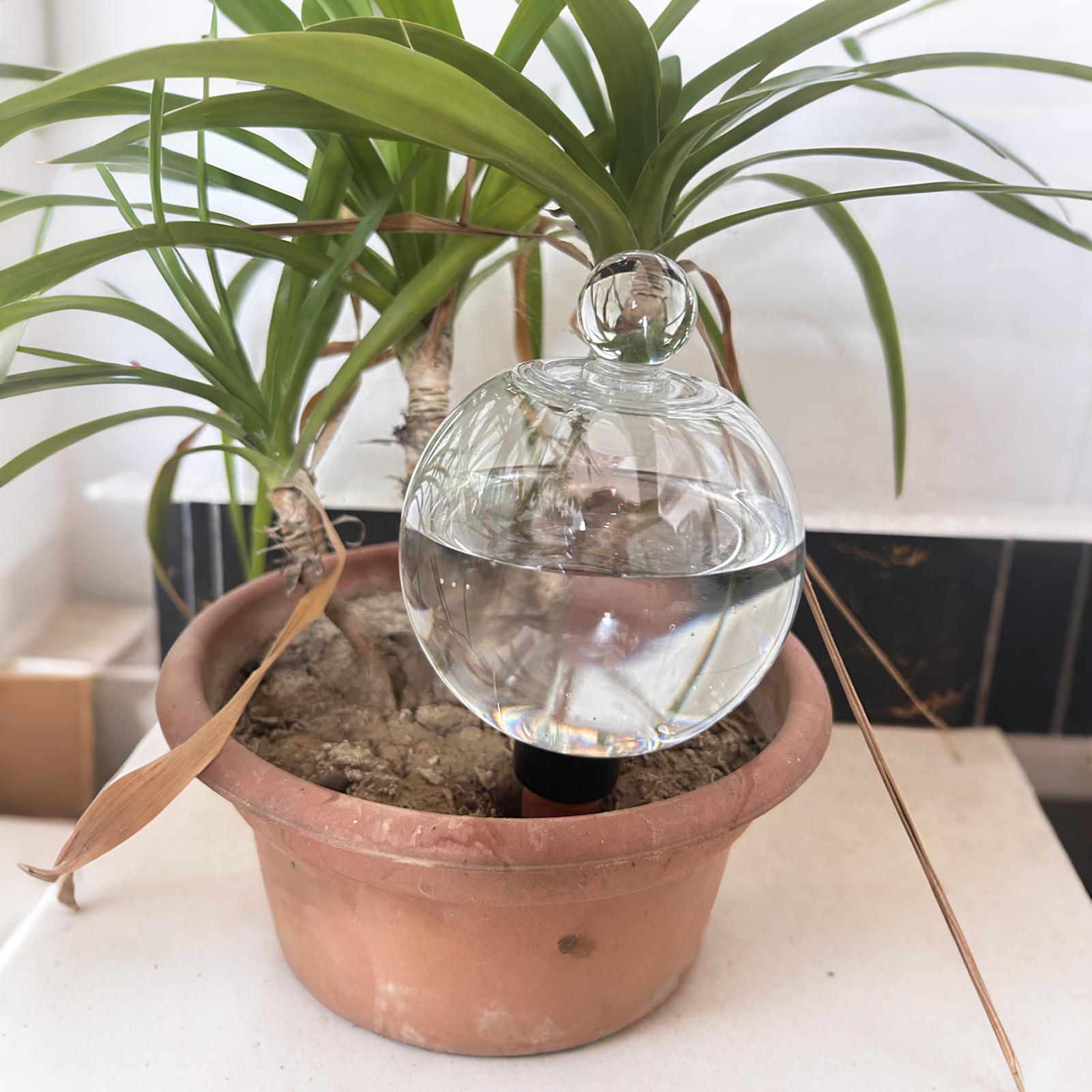 Globi per Irrigazione Piante 4 - Automatic Plant Waterer recensione e prezzo