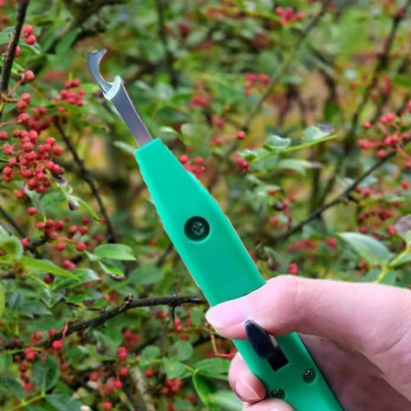 Raccoglitore Professionale di  - Gardening Tools Vegetables recensione e prezzo