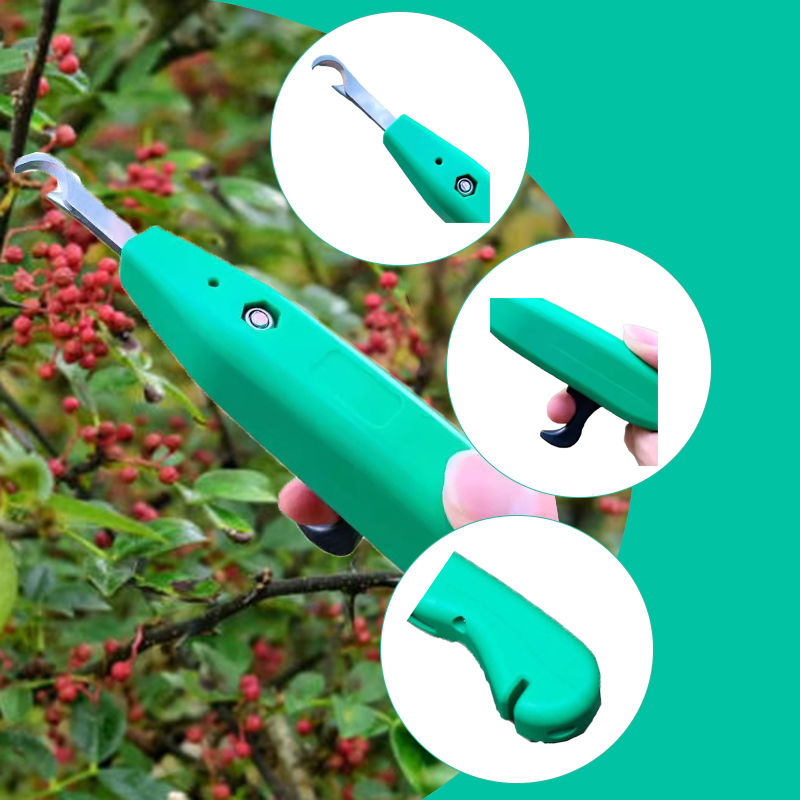 Raccoglitore Professionale di  - Gardening Tools Vegetables recensione e prezzo