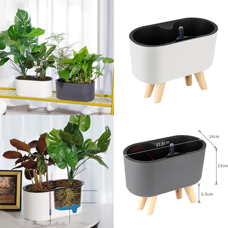 Pianta da interno con indicato - Automatic Plant Waterer recensione e prezzo