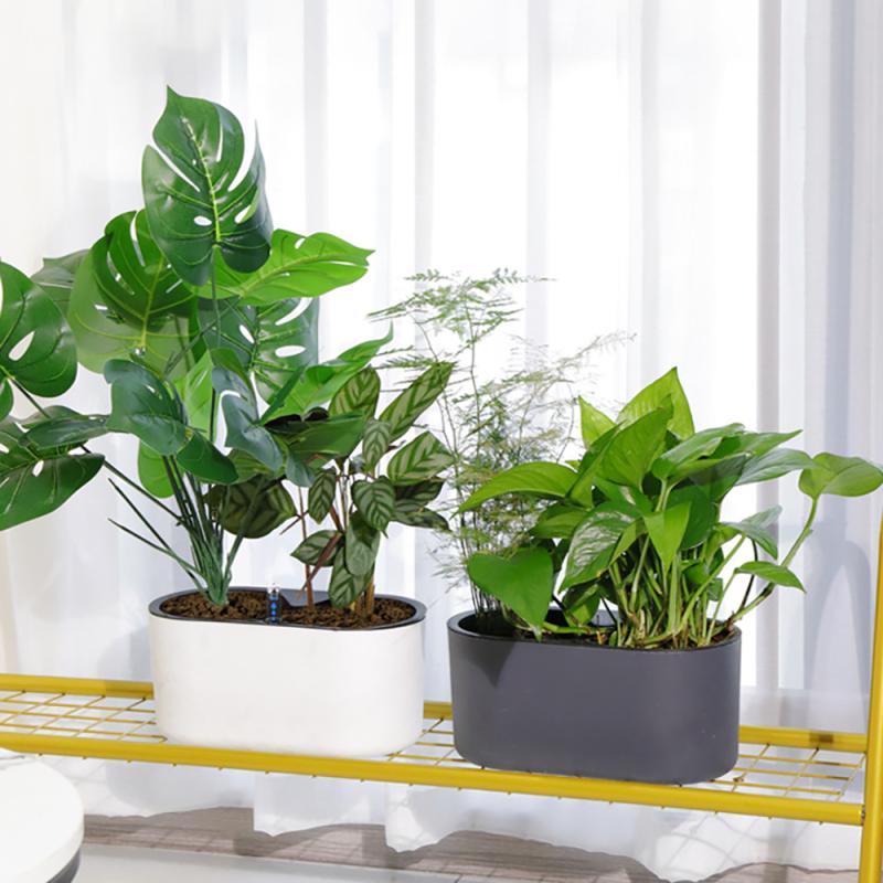 Pianta da interno con indicato - Automatic Plant Waterer recensione e prezzo