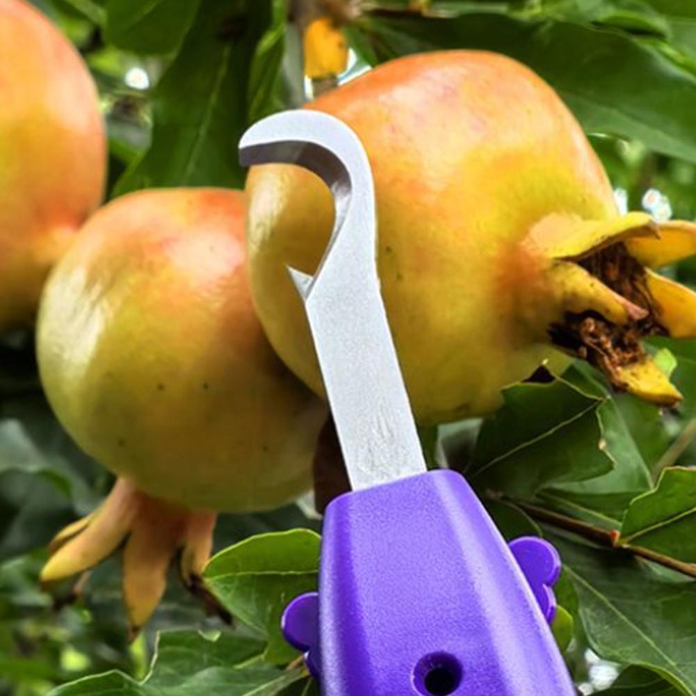 Attrezzo Portatile Multifunzio - Gardening Tools Vegetables recensione e prezzo