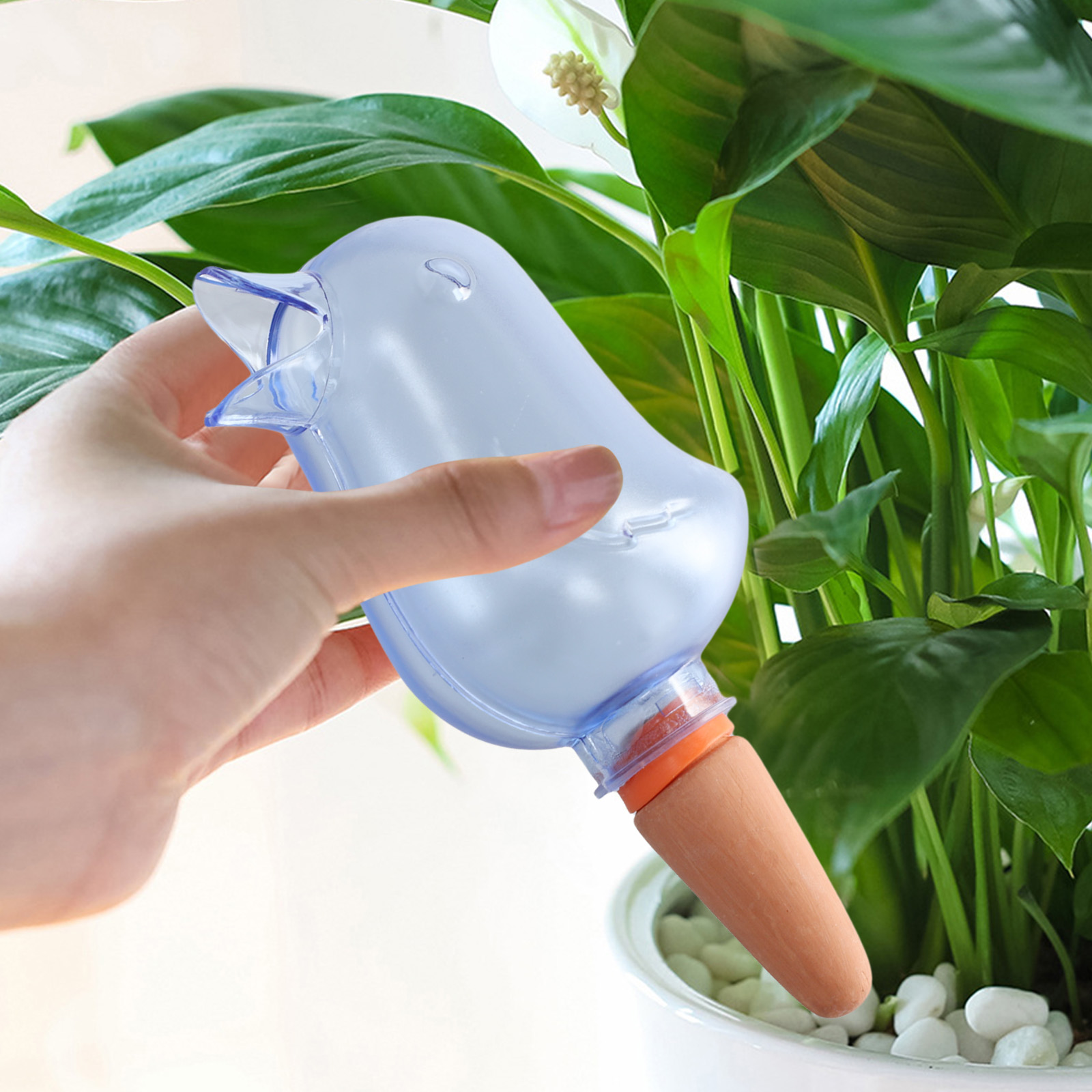 Sistema automatico di irrigazi - Automatic Plant Waterer recensione e prezzo