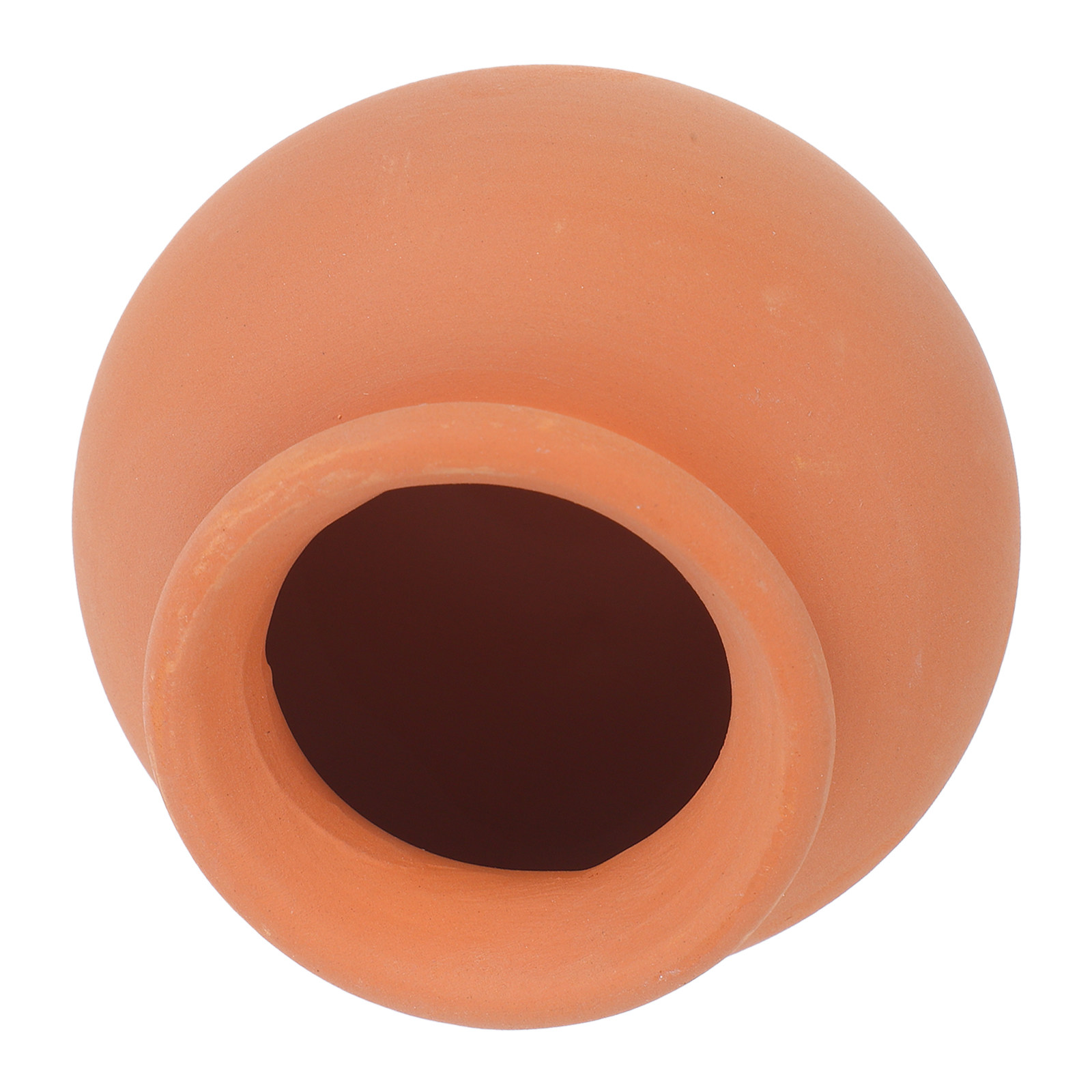 Spilli autoirriganti in terrac - Automatic Plant Waterer recensione e prezzo