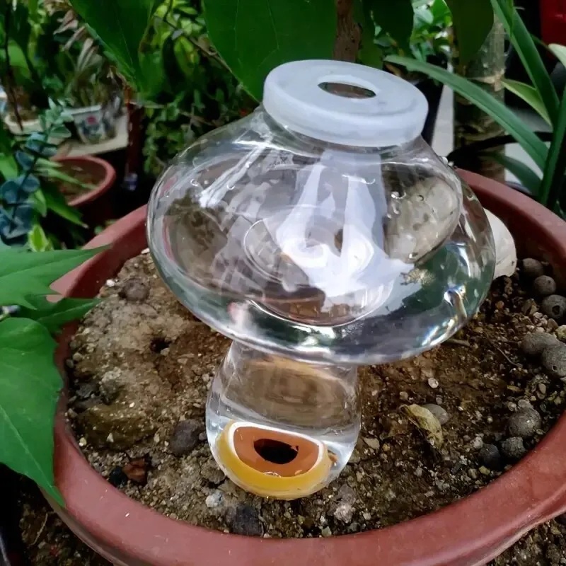 Innaffiatore Automatico per Pi - Automatic Plant Waterer recensione e prezzo