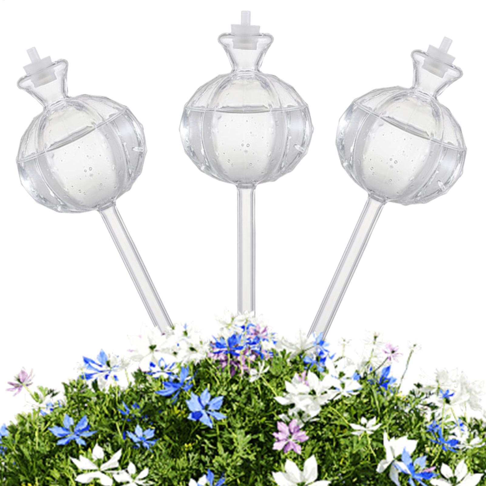 Globi per irrigazione piante c - Automatic Plant Waterer recensione e prezzo